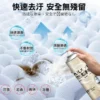 12924300_R4-1.webp 安全帽乾洗泡泡慕斯450ml