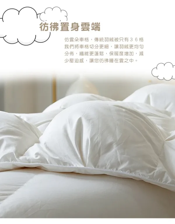 Simple Living澳洲 特大波蘭982雲柔天堂鵝絨被