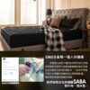 獨立筒床墊 / 雙人加大【Louise乳膠獨立筒無毒床墊】6尺