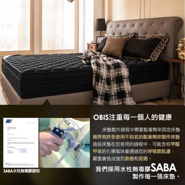 獨立筒床墊 / 雙人加大【Louise乳膠獨立筒無毒床墊】6尺